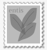 entis-stanp